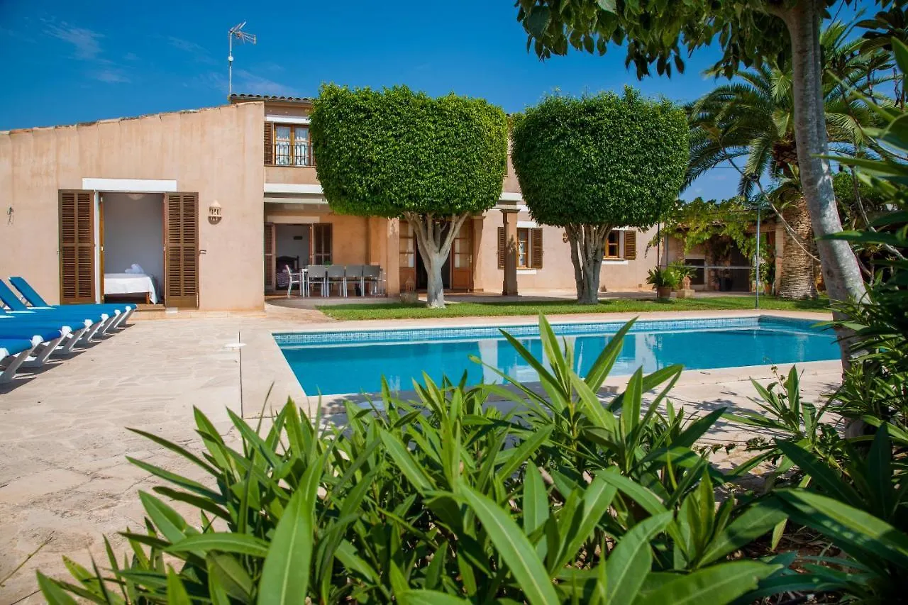 Vakantiehuis Finca Tallador Alquería Blanca
